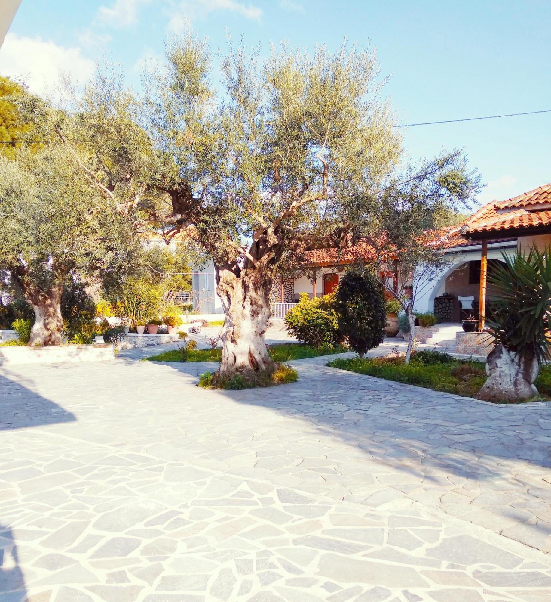 Irini Studios Alykes  Exterior photo